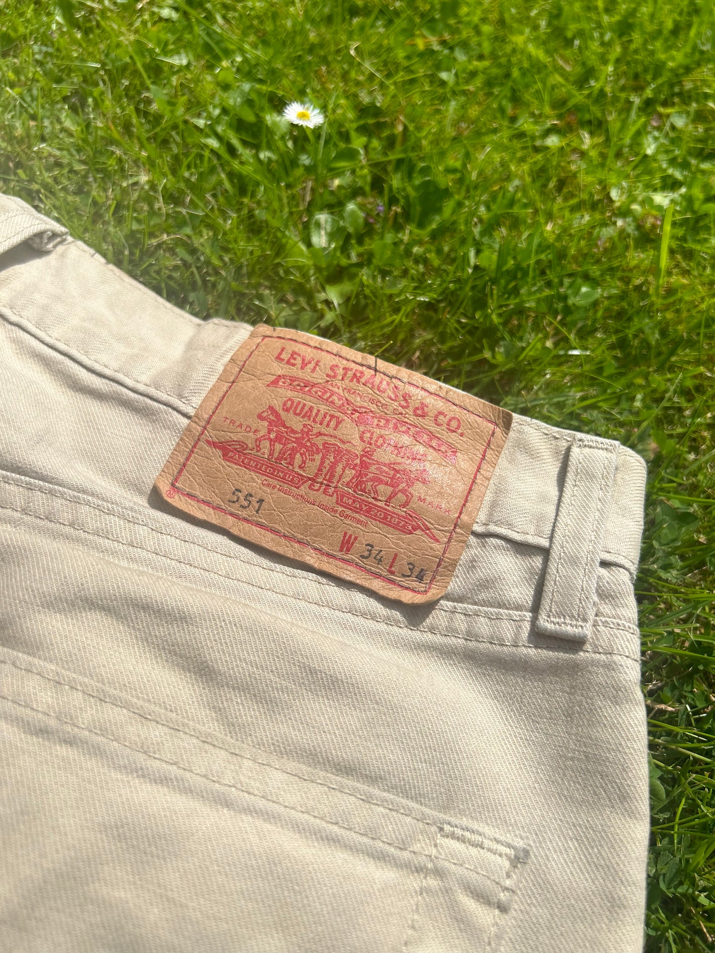 Levi Chino Reworked Shorts Waist 34
